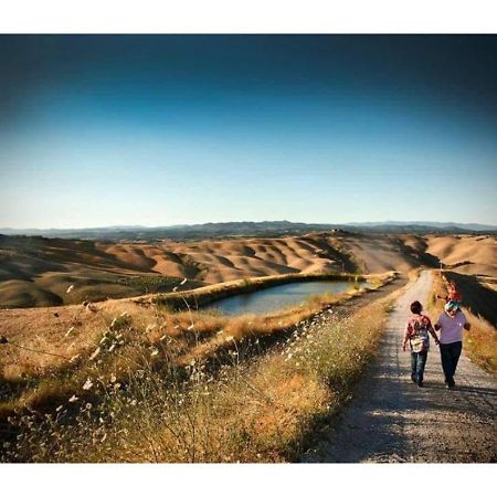 Agriturismo Le Crete - Appartamenti Asciano Zewnętrze zdjęcie
