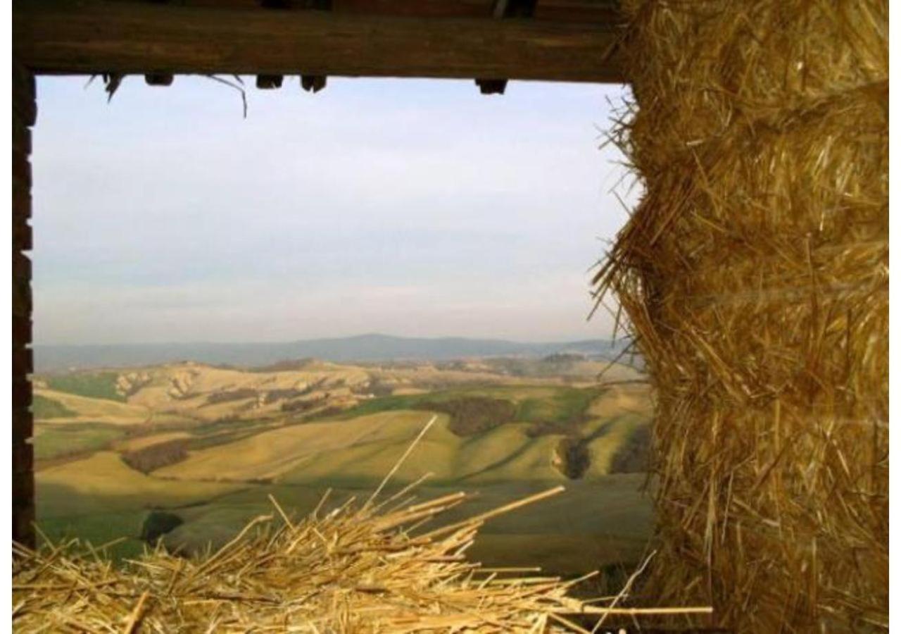 Agriturismo Le Crete - Appartamenti Asciano Zewnętrze zdjęcie