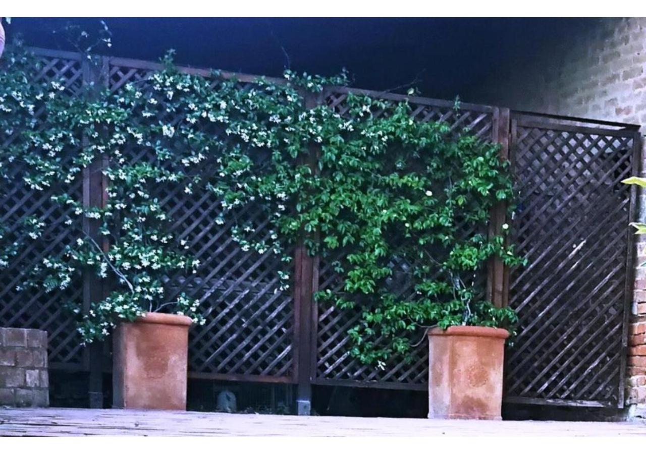 Agriturismo Le Crete - Appartamenti Asciano Zewnętrze zdjęcie
