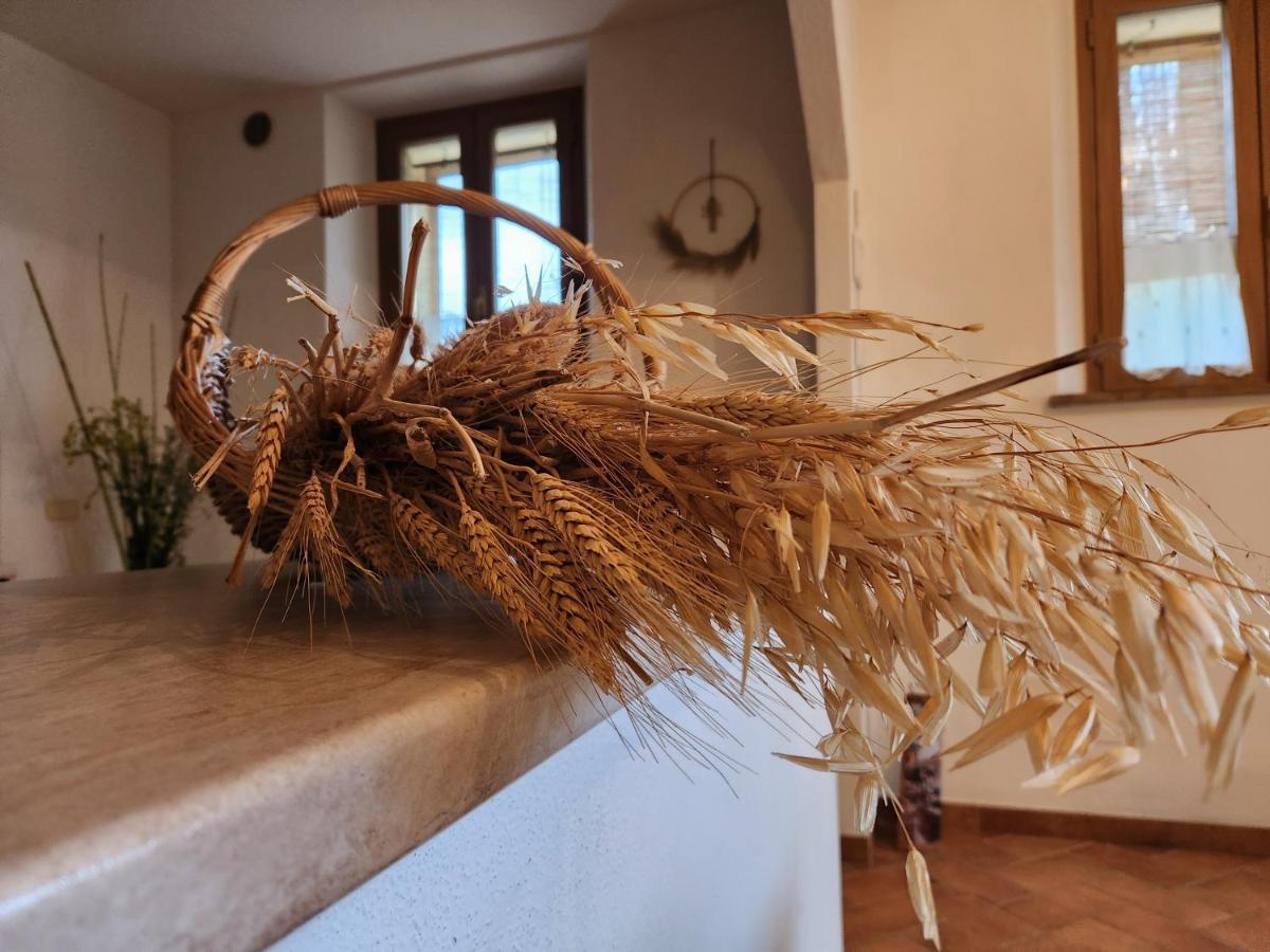 Agriturismo Le Crete - Appartamenti Asciano Zewnętrze zdjęcie
