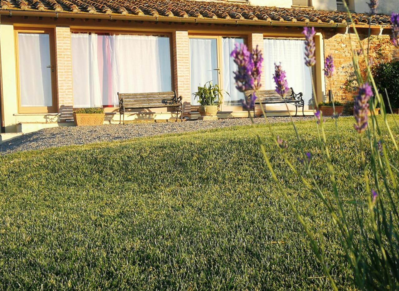Agriturismo Le Crete - Appartamenti Asciano Zewnętrze zdjęcie